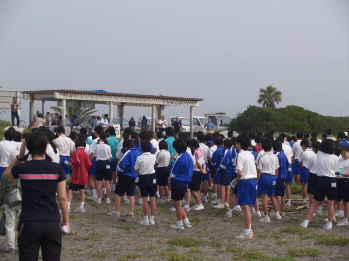 P7036238_1.jpg