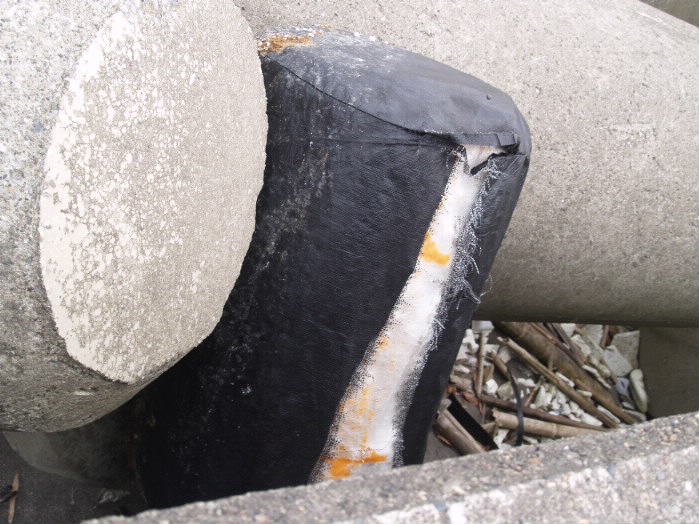 P7036400_1.jpg