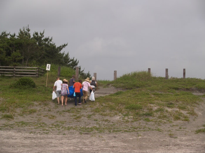 P7036429_1.jpg