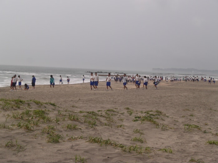 P7036446_1.jpg