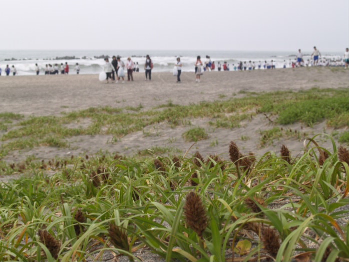 P7036459_1.jpg