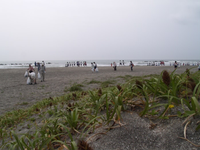 P7036465_1.jpg