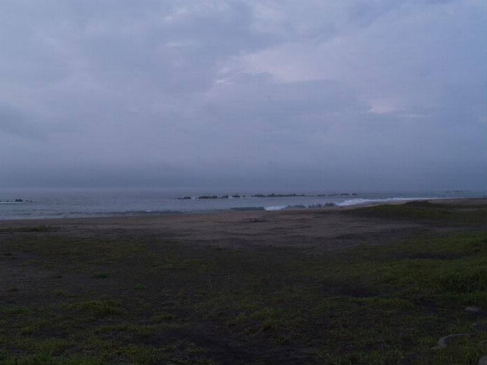 P7138120_1.jpg