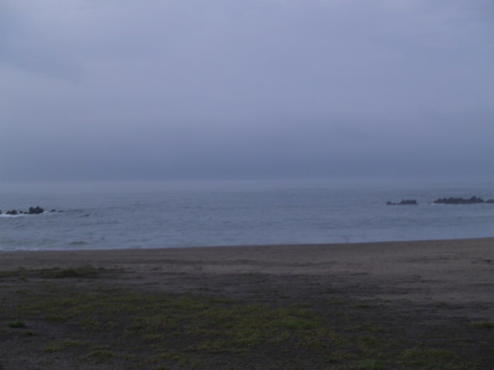 P7138122_1.jpg