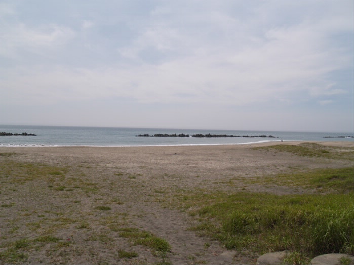 P7209141_1.jpg